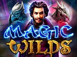 Magic wilds thumbnail
