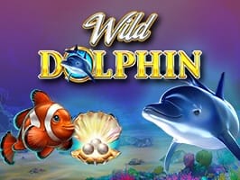 Wild Dolphin thumbnail
